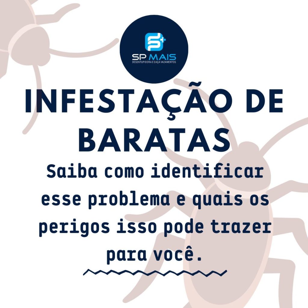 Infestação de baratas: saiba os perigos disso para você.