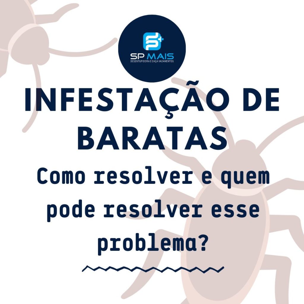 Infestação de baratas: saiba os perigos disso para você.