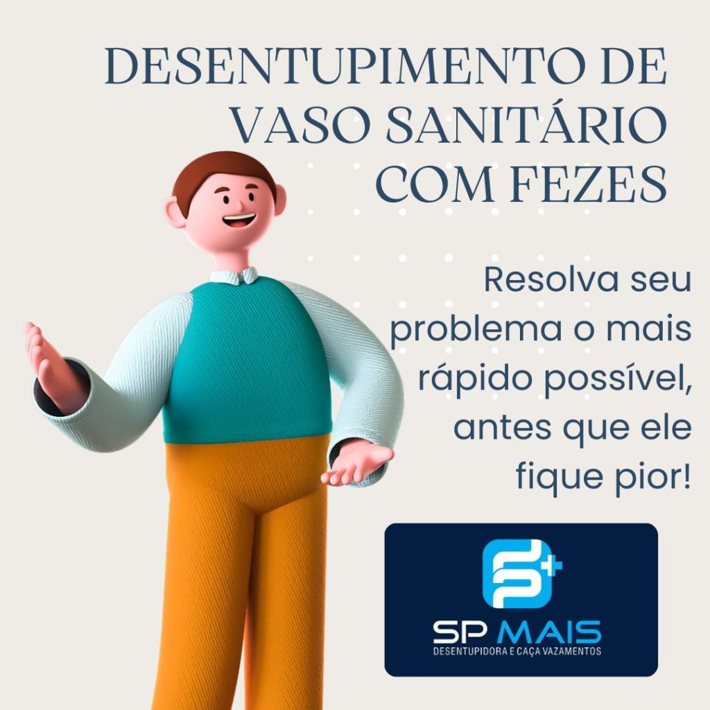 Saiba como desentupir vaso sanitário com fezes.